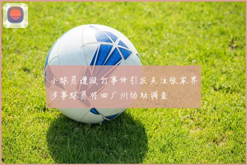 小球员遭殴打事件引发关注张家界涉事球员将回广州协助调查