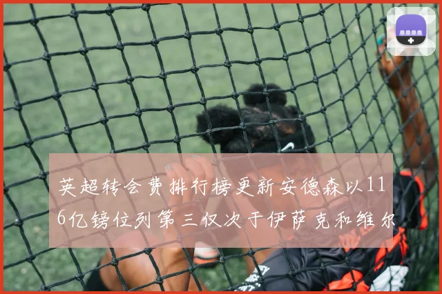 英超转会费排行榜更新安德森以116亿镑位列第三仅次于伊萨克和维尔茨
